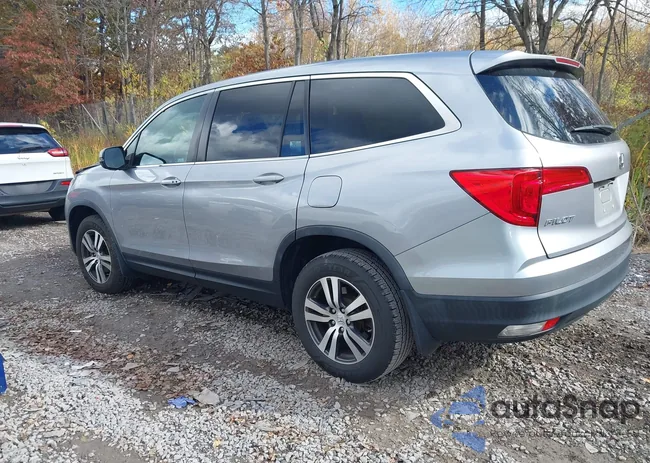 5FNYF6H46JB067703: 43529426