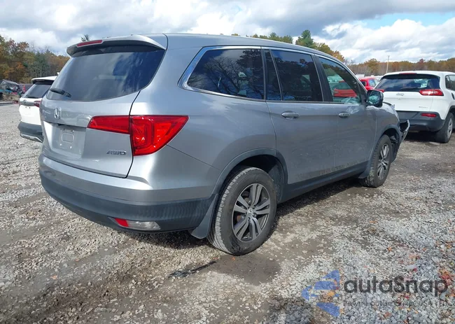 5FNYF6H46JB067703: 43529426