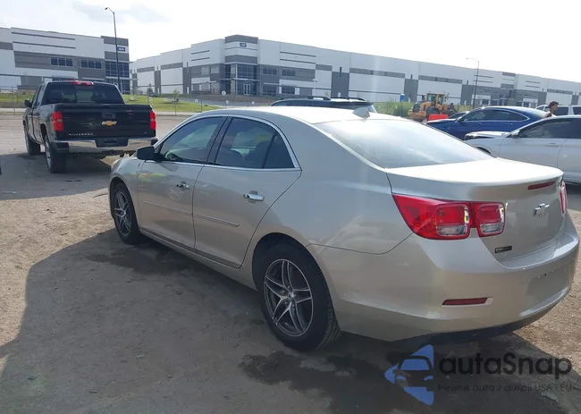 1G11C5SA2DF229581: 43529446