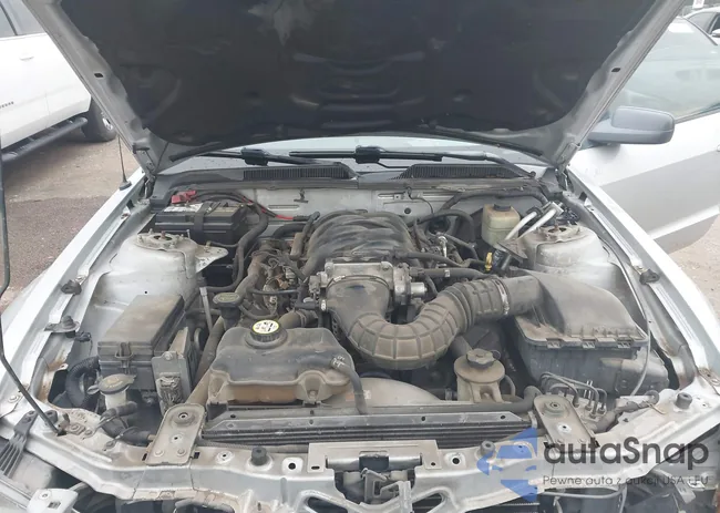 1ZVHT82H365113011: 43529644