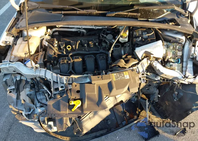 1FADP3M21HL266282: 43529672