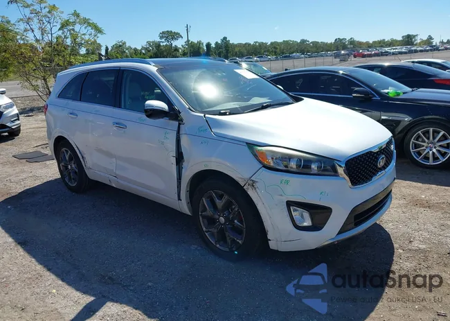 5XYPK4A55HG220234: 43529769