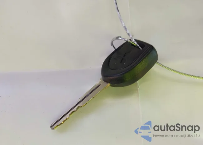 ML32A3HJ6JH007237: 43529804