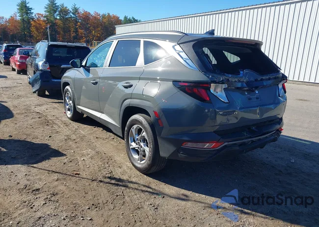 5NMJBCDE2RH295640: 43529086