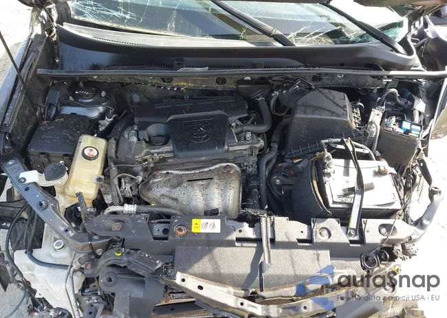 JTMRFREVXHJ113152: 43529321