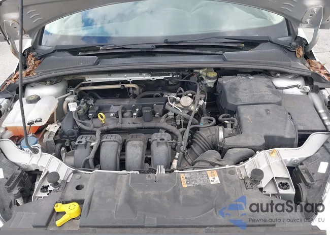 1FADP3E22GL366114: 43530526