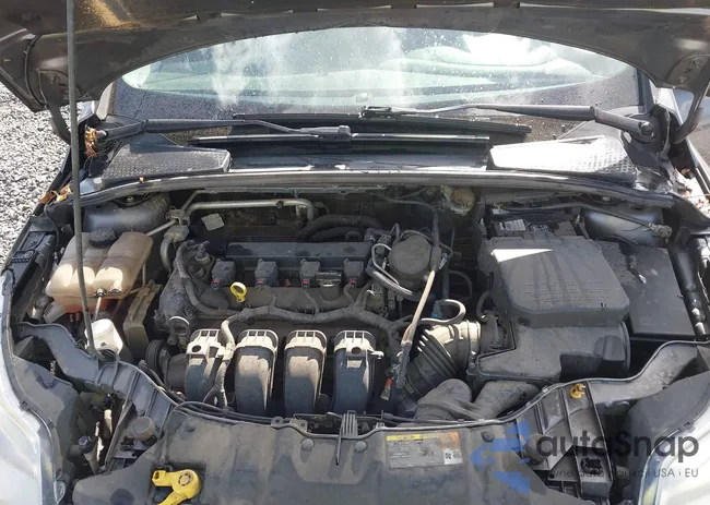 1FADP3K2XEL203244: 43530640