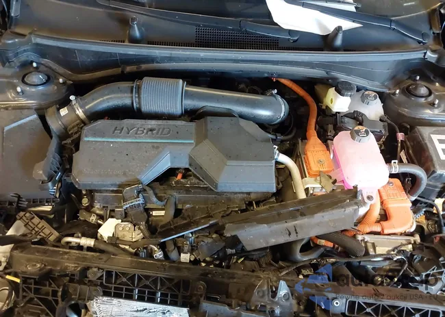 KNDPVCDG8R7167218: 43530799