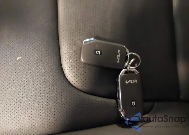 KNDPVCDG8R7167218: 43530799