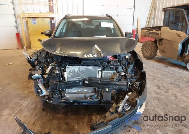 KNDPVCDG8R7167218: 43530799