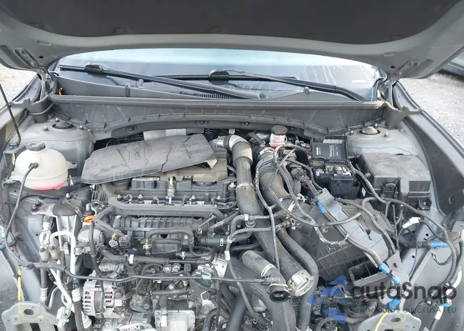 5NTJEDAF0NH028831: 43530805