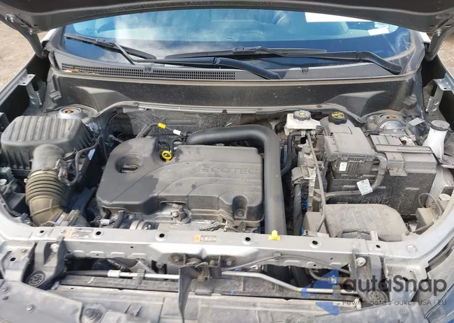 3GNAXKEG5RL311643: 43531719