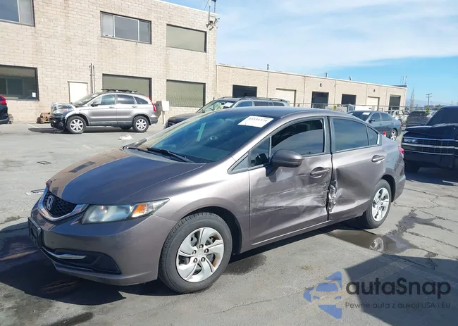 19XFB2F55FE289301: 43531374