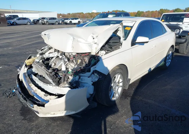 1G11C5SL9EF289165: 43532541