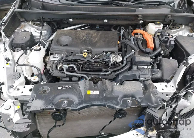 4T3RWRFV9RU132292: 43534561