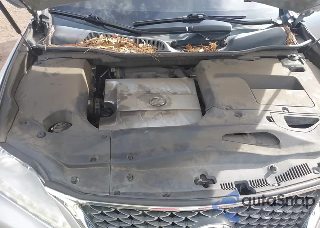 2T2BK1BA6DC181594: 43534603