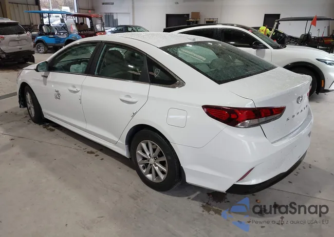 5NPE24AF6JH665502: 43534849