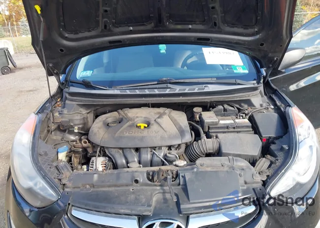 5NPDH4AEXDH396183: 43533987