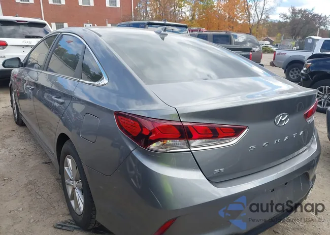 5NPE24AF5JH616484: 43534041