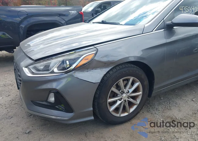 5NPE24AF5JH616484: 43534041