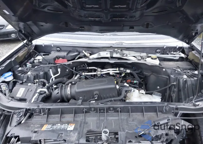 1FMSK8DH4MGA77304: 43536929