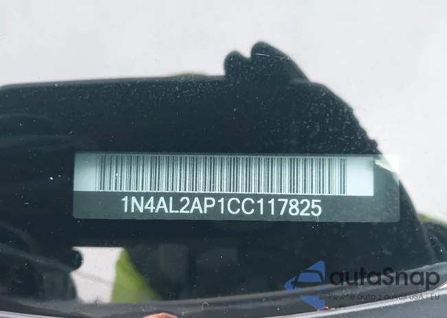 1N4AL2AP1CC117825: 43537396