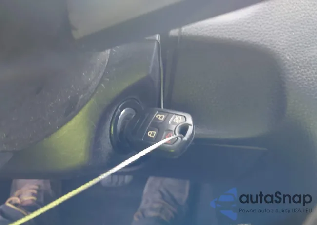 1ZVBP8AM4E5251552: 43538639