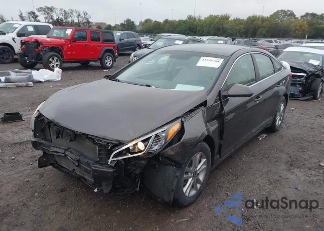 5NPE24AF8GH378431: 43538768