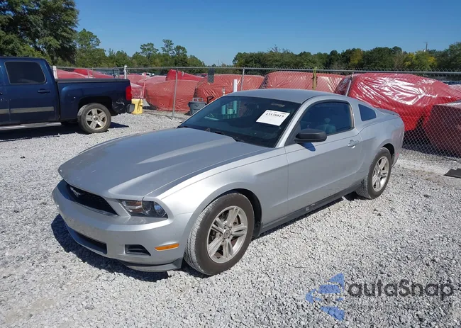 1ZVBP8AM7C5260016: 43538815