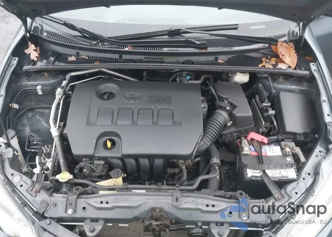 2T1BPRHEXEC109863: 43538056