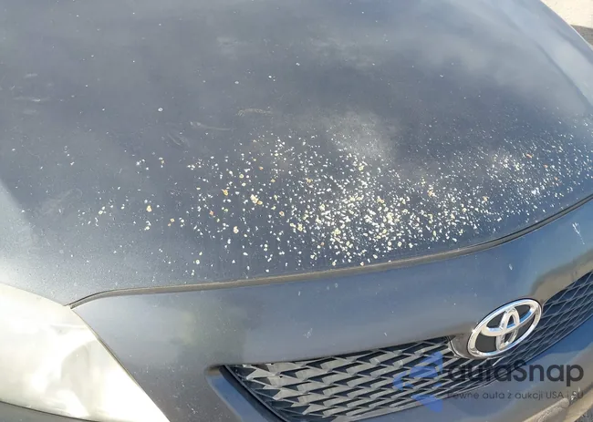 1NXBU40EX9Z067593: 43539508