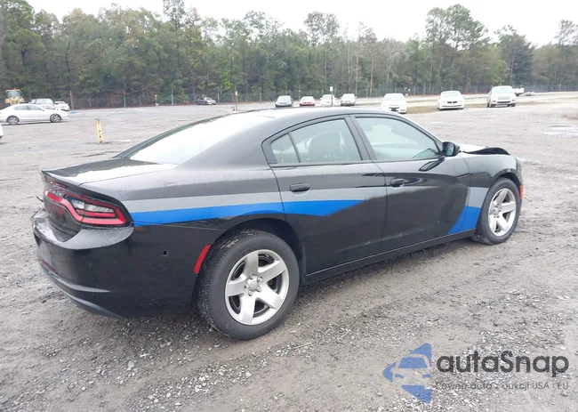 2C3CDXAT3MH668447: 43539556