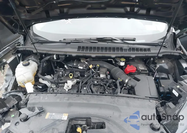 2FMPK4G9XRBA84369: 43539572