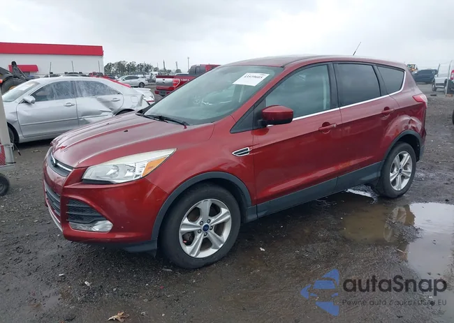 1FMCU0GX4FUC41772: 43539605