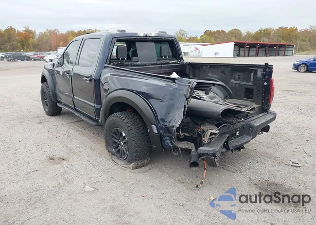 1FTFW1RG1SFB87313: 43539754