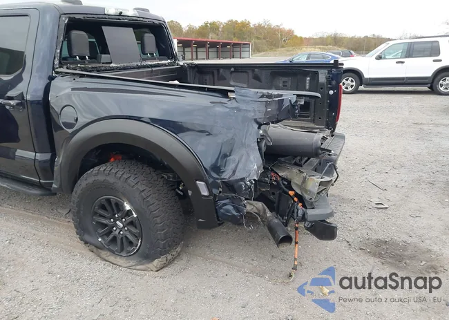 1FTFW1RG1SFB87313: 43539754