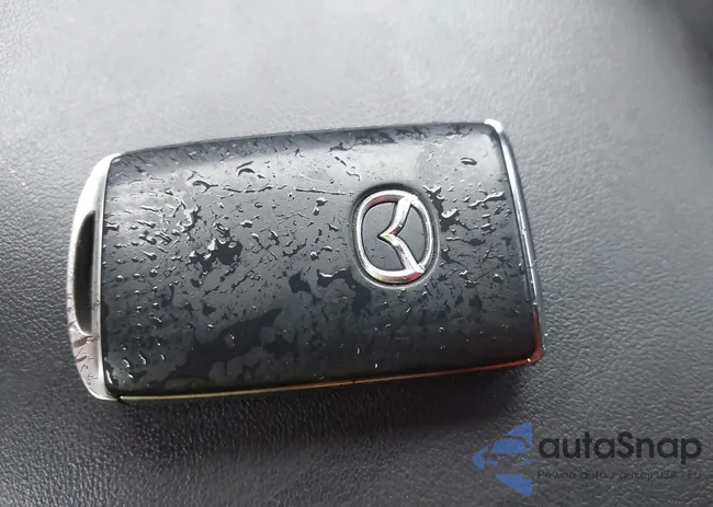 JM1BPALM1L1159780: 43540699