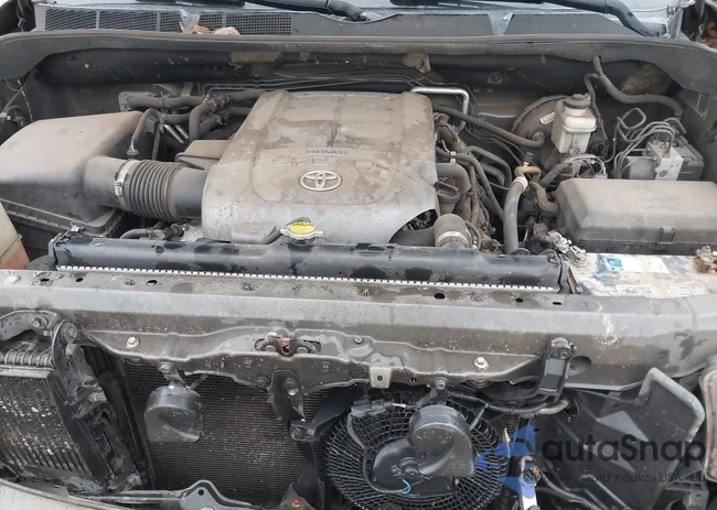 5TDZY64A58S003166: 43541505