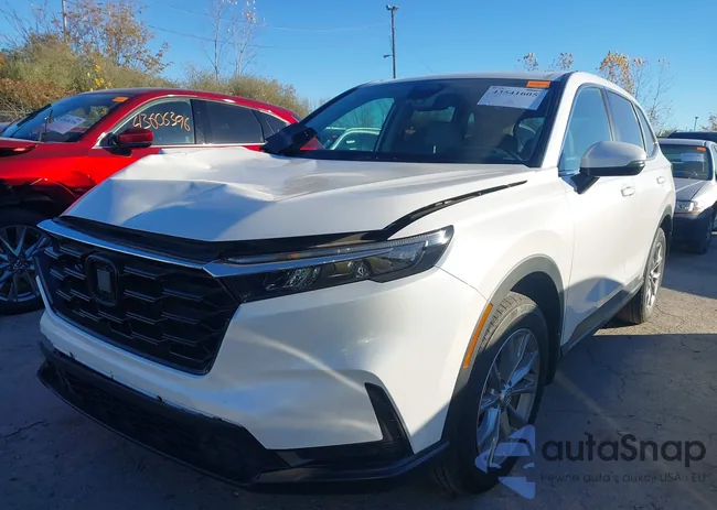 5J6RS4H75PL002713: 43541605