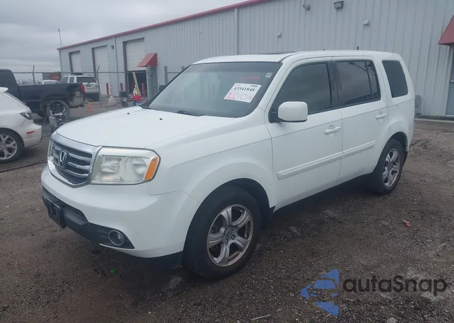 5FNYF3H50DB004026: 43541848