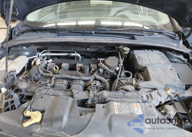 1FADP3F21EL441770: 43540982