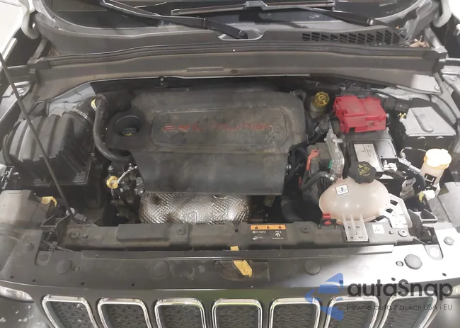 ZACNJBAB6LPL31966: 43542009