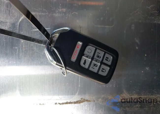 5FNRL6H88PB052824: 43543495