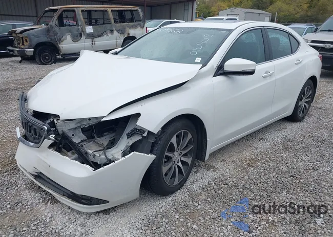 19UUB1F53GA010905: 43544463