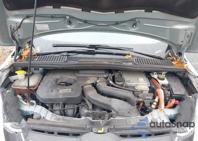 1FADP5CU6DL526846: 43544495