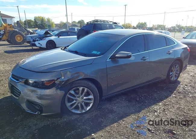 1G1ZD5ST6JF133076: 43544863