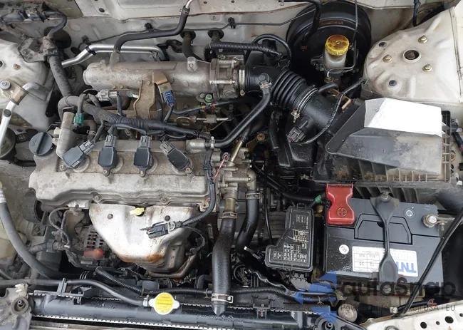 3N1CB51D74L825373: 43544145