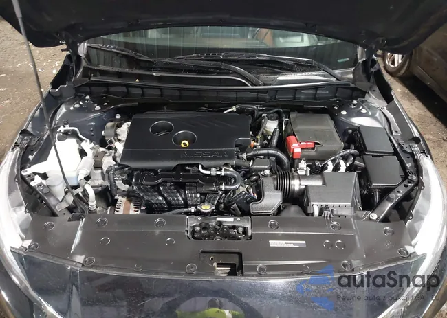 1N4BL4EWXLC196719: 43544281