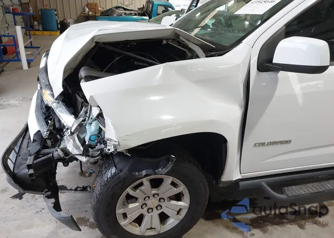 1GCGSCEA9G1355135: 43545646