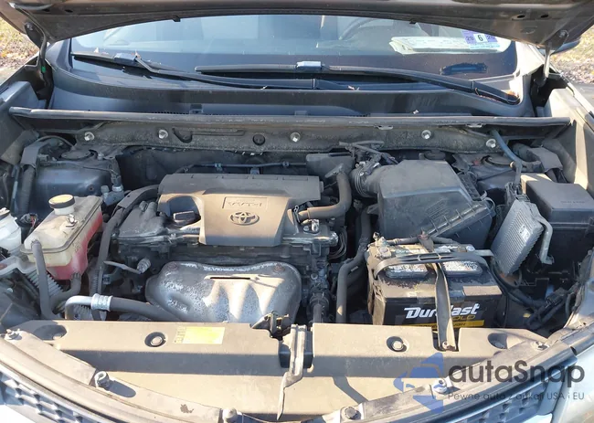 JTMBFREV3DD017809: 43546597